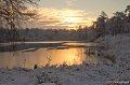 Winter Boswachterij Dorst